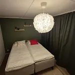Villa Cozy At Rovaniemi